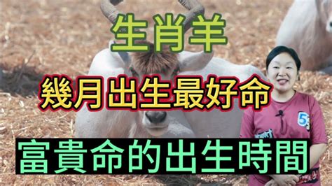 屬羊幾月生好|【屬羊幾月生好】屬羊人最佳出生月份大公開！不同月份運勢總覽。